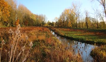 Wachtspaarbekken Bettelhovebeek