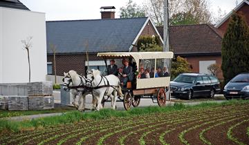Huifkartocht met de Sylvesters Hoeve