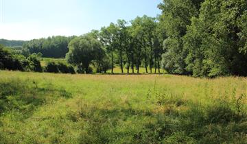 La réserve naturelle ‘Parkbos-Uilenbroek’