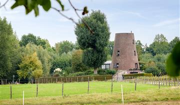 Le moulin à vent ‘Nieuwpoortmolen’