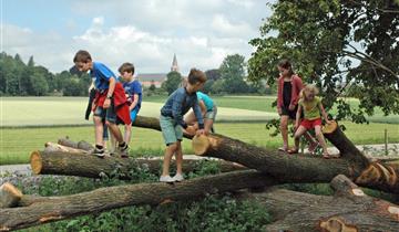 Wandeling: beleef de natuur (1ste graad)