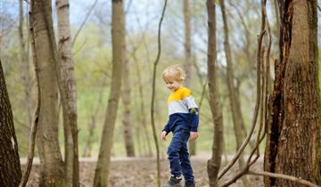 Wandeling: beleef de natuur (3de graad)